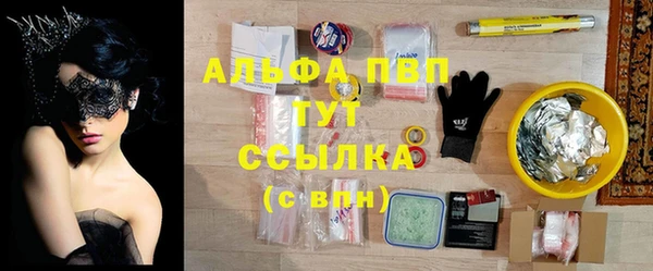 прущие грибы Аркадак