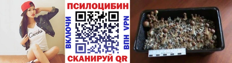 OMG tor  магазин  наркотиков  Голицыно  Галлюциногенные грибы Psilocybine cubensis 